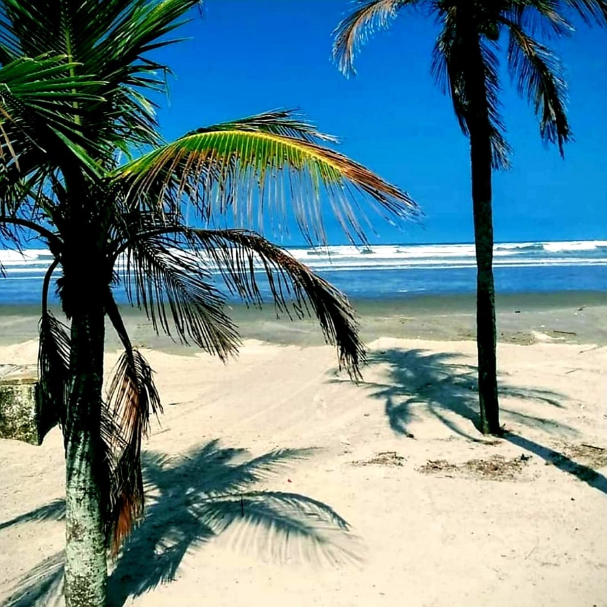 Requinte e sofisticação Apartamento Praia Grande  Exterior foto